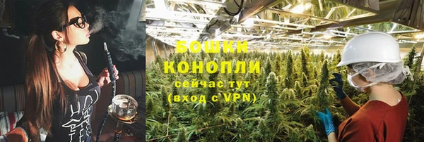 соль ск Арсеньев