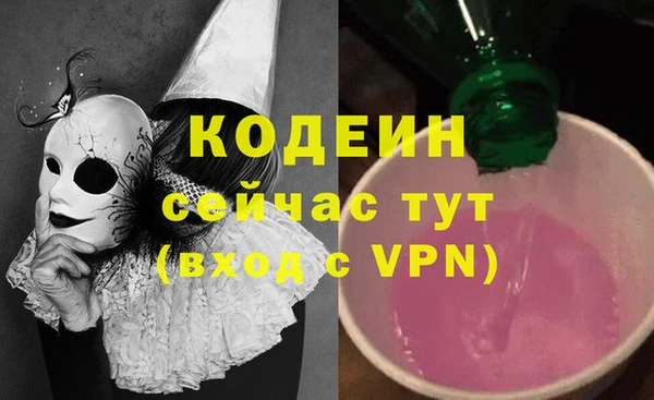 соль ск Арсеньев