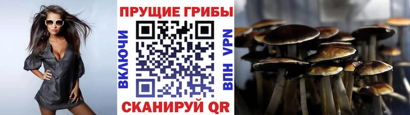 Псилоцибиновые грибы GOLDEN TEACHER  мориарти телеграм  Ступино 